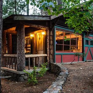 アイディルワイルド Owl Pine Cabin On Strawberry Creekヴィラ Exterior photo