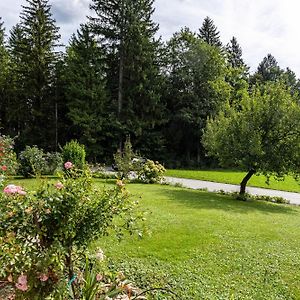 Ferienwohnung Im Haus Stockl Angerberg  Exterior photo