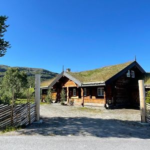 ホーヴデン Solsetra - Mountain Majesty Family Log Cabinヴィラ Exterior photo