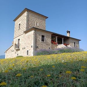 Gesualdo Agriturismo Torre Gialluiseヴィラ Exterior photo