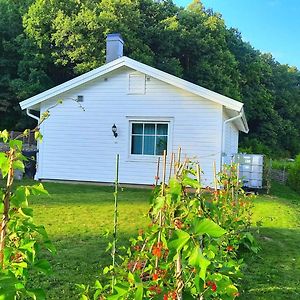 Boende - Stuga Naera Naturen, 3 Km Till Motala Centrum, Elbilsladdning Finns Pa Tomten - Privat Vaerd Exterior photo