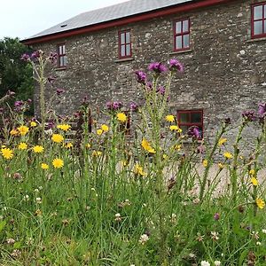 The Old Mill, Kilcorkey, Bellanagare, Castlerea, County Roscommon - West Of Ireland -House 1ヴィラ Exterior photo