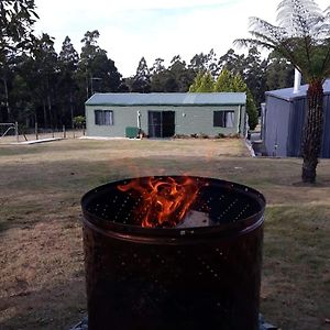 Pipers RiverCabin In The Tasmanian Bush - Tranquility!アパートメント Exterior photo