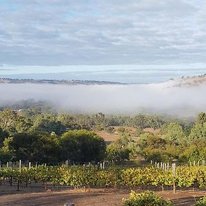 Toodyay Pecan Hill Bnb Bed & Breakfast Exterior photo