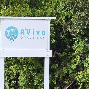 The Bight Settlements A'Viva Grace Bay - Alta3ヴィラ Exterior photo