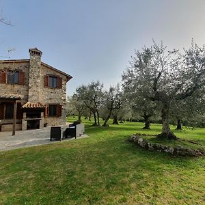 Villa Lisabetta Montecchio  Exterior photo