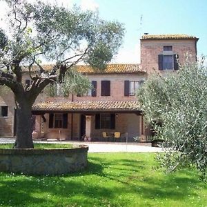 Ferienwohnung Solebello Mulberry In Morro dʼAlba Exterior photo