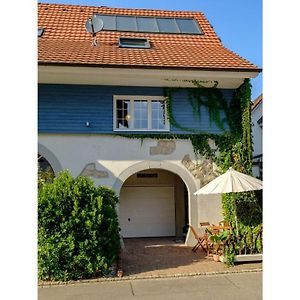 Holiday Apartment In The Blue Barn ビンツェン Exterior photo