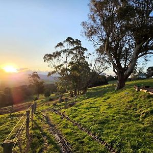 Neerim South Rose Hill By Tiny Awayヴィラ Exterior photo