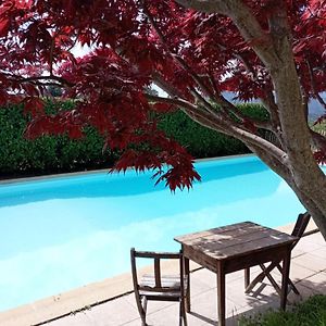 Mialet  Chambre D'Hote Dans Mas Proche Anduze Cevennes Avec Piscine Bed & Breakfast Exterior photo