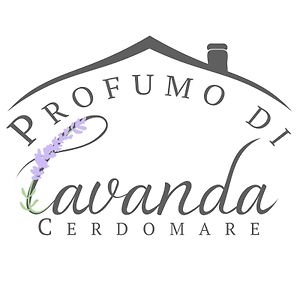 Poggio MoianoProfumo Di Lavandaアパートメント Exterior photo