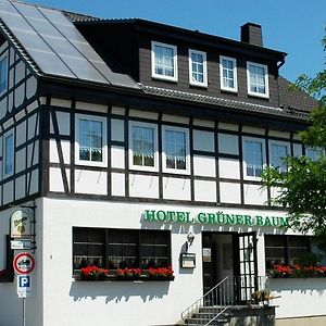 Hotel Gruener Baum シュトルベルク Exterior photo