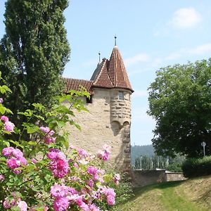 ホテル Weingut Gaestehaus Weigand イプホーフェン Exterior photo