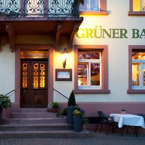 Hotel & Restaurant Gruener Baum Merzhausen フライブルク Exterior photo