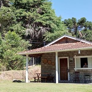 Canto Dos Passaros- Casa De Campo Em ゴンサウヴェス Exterior photo