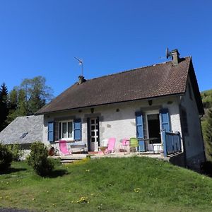 Maison De Caractere Avec Jardin, 5 Pers., Condat - Parc Des Volcans D'Auvergne - Fr-1-742-117ヴィラ Exterior photo