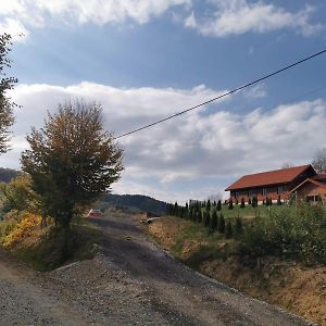 ホテル Cabana Valea Popii Sita Buzăului Exterior photo