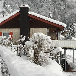 Cozy House Above Lake Lucerne In Car-Free Vitznau Mittlerschwanden At Mount Rigi Railwayヴィラ Exterior photo