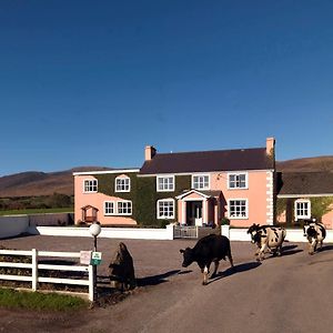 Murphys Farmhouse B&B キャッスルメイン Exterior photo