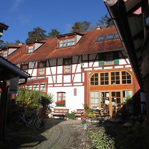 Gaestehaus Pfefferle Hotel Garni Und Ferienwohnungen ジクマリンゲン Exterior photo