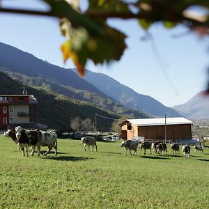 アルボザッジャ Agriturismo Stella Orobicaゲストハウス Exterior photo