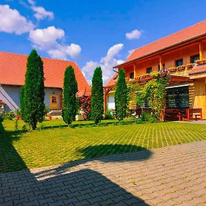 Saschiz Pensiunea Keisd Bed & Breakfast Exterior photo