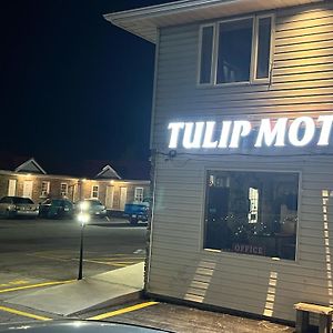 Tulip Motel ウッドストック Exterior photo