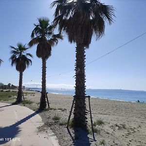 Sunrise - Appartamento Con Terrazzo Fronte Mare スパダフォーラ Room photo