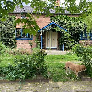 Markische Heide Ferienhaus Im Spreewaldヴィラ Exterior photo