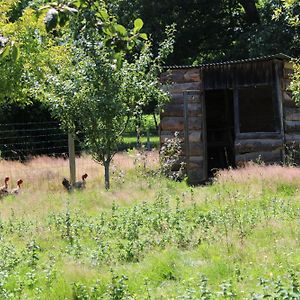 Peyrelongue-Abos Ecogite Rural La Cle Des Champsヴィラ Room photo