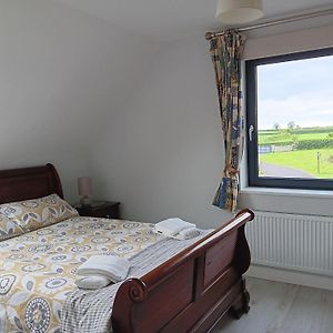 Duplex/2 Bedrooms On Kildare/Carlow/Laois Border Exterior photo