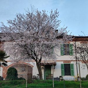 アスティ Cascina Patrizia Bed & Breakfast Exterior photo