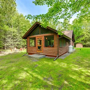 New Berlin  Cardinal Pines Cabin On 8 Acres - Dog Friendly!ヴィラ Exterior photo