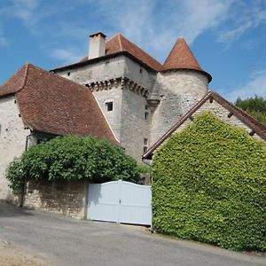 Chateau De Camboulan アンベラック Exterior photo
