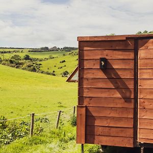 ホテル Leto Shepherds Hut By Airpremier アルフリストン Exterior photo