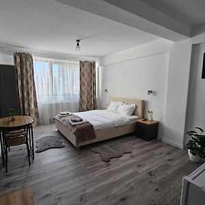 ホテル Didi Apartament クラヨーヴァ Room photo
