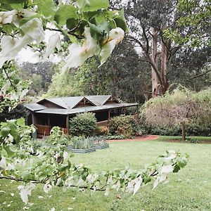 オリンダ Botanica Retreat Bed & Breakfast Exterior photo