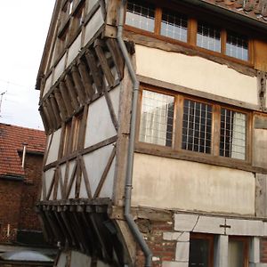 Aparthotel De Beek Anno 1410 シント・トロイデン Exterior photo