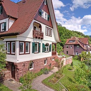 Familiengluck Im Schwarzwaldhaus Mit Schlossblick ノイエンビュルク Exterior photo