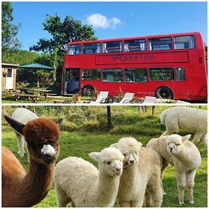 ボベイ・トレーシー Double Decker Bus On An Alpaca Farm Sleeps 8, 5 Mins Drive To Dartmoorヴィラ Exterior photo