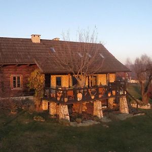 Ferienhaus In Cisowa Mit Offener Terrasseヴィラ Exterior photo