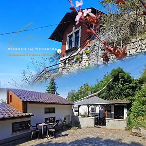 Riesling - Wohnen Im Weinberg In Der Toskana Des Nordens フライブルク Exterior photo