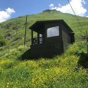 Sno Cottages Twins カズベギ Exterior photo