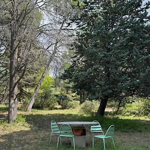 ホテル Chambre Ginkgo Au Domaine De L'Aven Villeneuve-Minervois Exterior photo