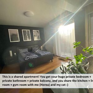 Funkadelic Retreat Transylvania, Private Room&Bath In Shared Apartment With Host&Cat クルージュ＝ナポカ Exterior photo
