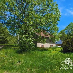 Le Grand-Abergement La Fuly D'En Hautヴィラ Exterior photo