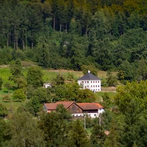 Schlusslberg Trattnachtaler Weinhausヴィラ Exterior photo