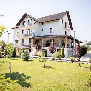 ホテル Rem Garden Novaci-Străini Exterior photo