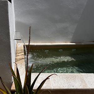 Sarzedas Casa Do Largo - Entirely Serenity Retreatヴィラ Exterior photo