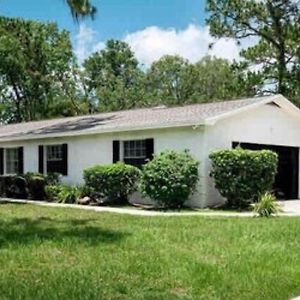 2 Homes Plus Rv On Lake ルッツ Exterior photo